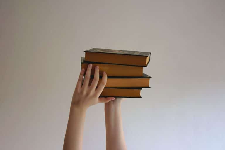 Capital culturel et réussite scolaire : relire Bourdieu aujourd'hui